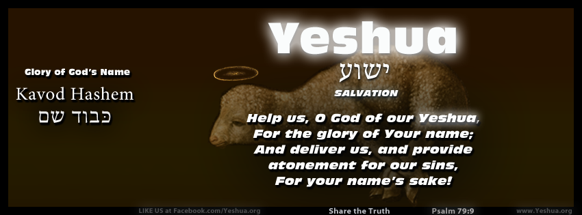 Kavod Hashem 